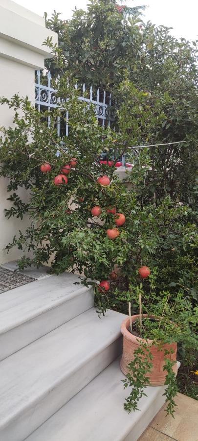 Dora'S Home With Garden Volos Bagian luar foto
